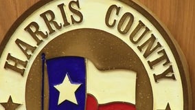 Harris County Judge 2022 Primary Election: A look at who's running