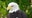 Bald eagle that survived Texas Winter Storm finds home at Houston Zoo