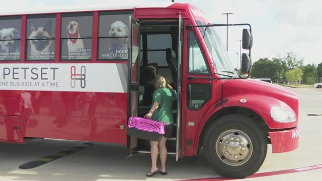 Almost 100 dogs, cats bused to Minnesota leaving behind scary future in a shelter or on Houston’s streets