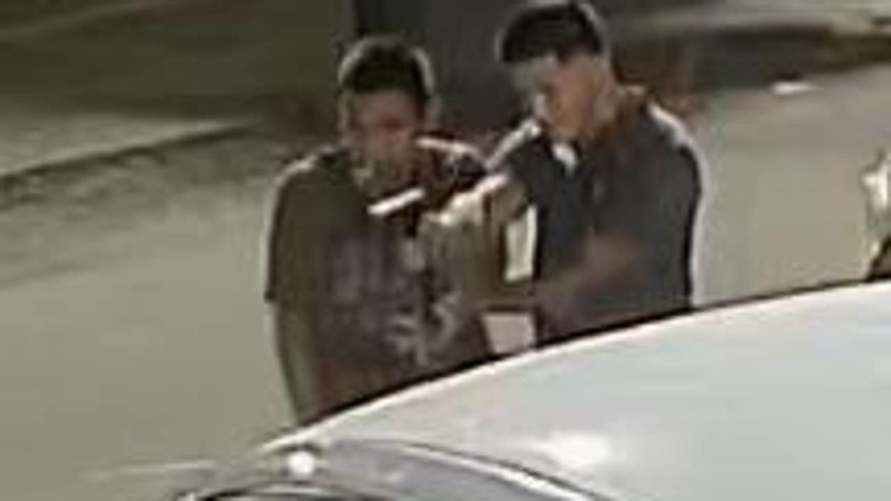 couple ambushed chicago couple ambushed chicago