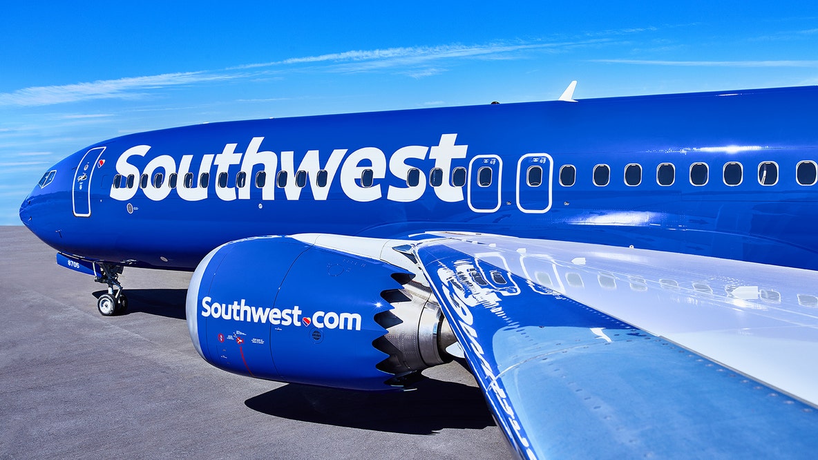 Southwest flight bound for Houston from Washington, D.C. diverts to Baltimore following bird strike