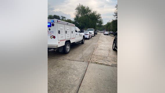 Boy walking home from school attacked by loose dog in Spring