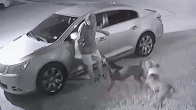 Two dog attacks reported in North Harris Co., one leaves man in critical condition