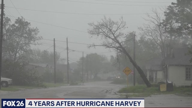 4 years after Harvey are we more prepared - What's Your Point?
