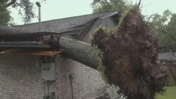 High winds from Nicholas knocks tree through Baytown widow's home