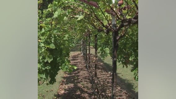 Experience a taste of Napa Valley in North Houston!
