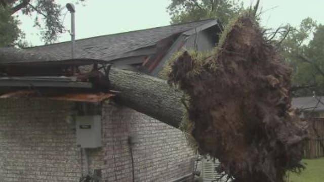 High winds from Nicholas knocks tree through Baytown widow's home