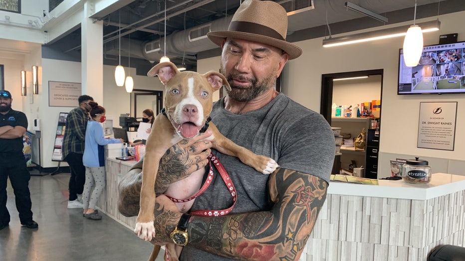 sage-and-dave-bautista-hstb.jpg