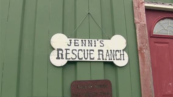 Unique dog rescue in Alvin that saves medically neglected dogs now needs saving