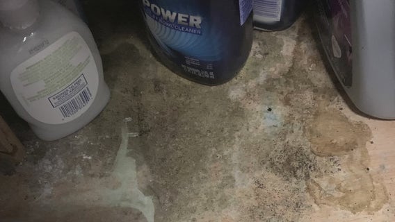 Woman battles homeowners insurance over water damage and mold