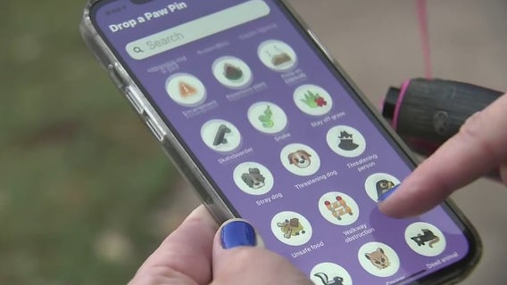 New Paway app for fun and safe dog walks