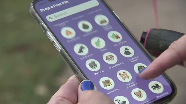 New Paway app for fun and safe dog walks