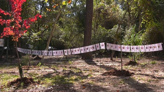 Trees dedicated to bring awareness to missing residents in north Harris Co.
