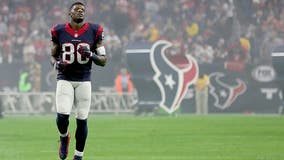 Hester, Ware, Andre Johnson 1st-year Hall of Fame finalists