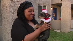 Arizona woman reunited with dog that was found in California desert after 2 years