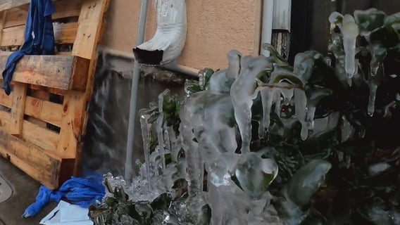 Residents prepare for freeze watch issued for Southeast Texas ahead of major temperature drop this weekend