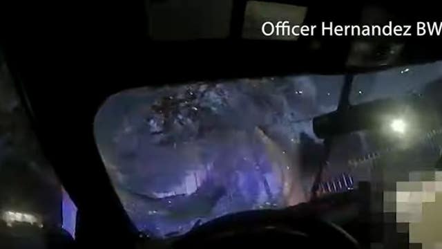 Police release body-worn camera video following fatal crash involving pedestrian in SE Houston