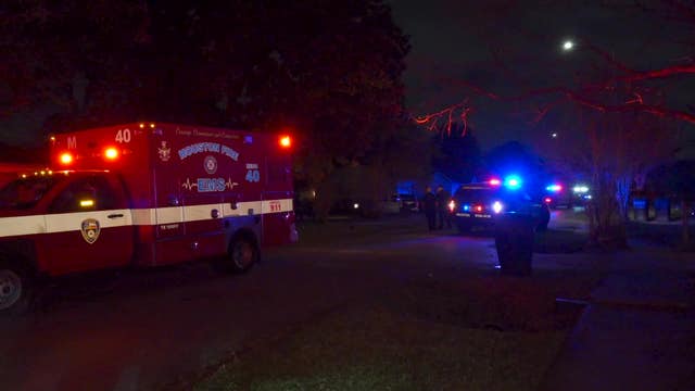 Man fatally shot next to his vehicle in southeast Houston