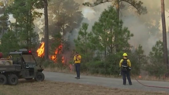 Rolling Pines Fire: Bastrop County fire evacuation order completely lifted