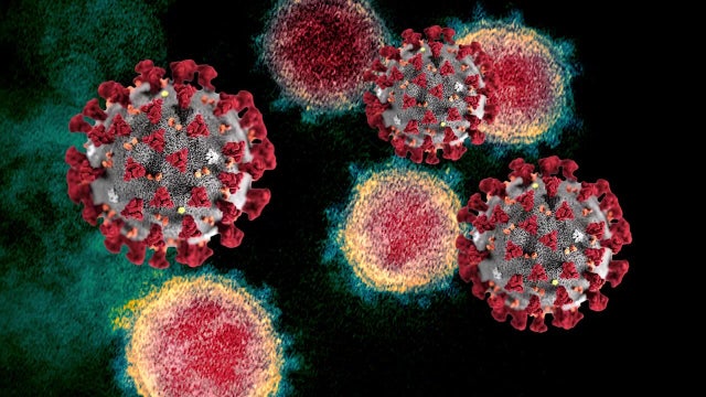 Harris County COVID-19 threat level now highest category 'red'; more tests for school districts