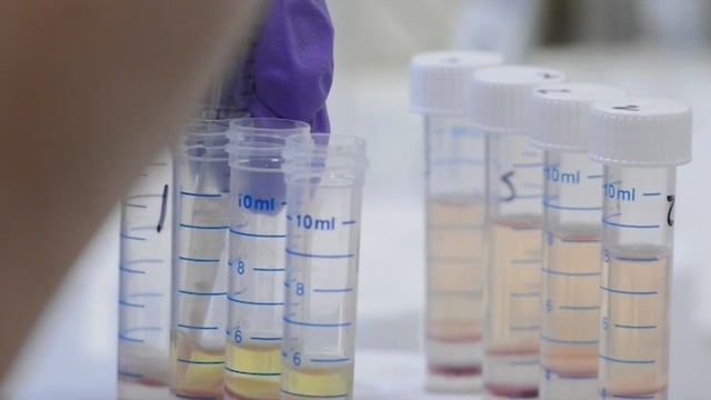 Texas Heart Institute studying how stem cells treat heart failure