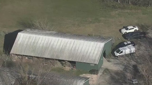 'It's so horrible,' Aldine ISD parents outraged after 15 turkeys belonging to FFA students were slaughtered