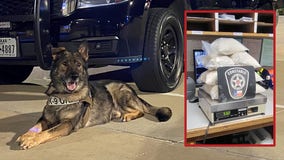 K9 sniffs out pounds of heroin during traffic stop in Montgomery County