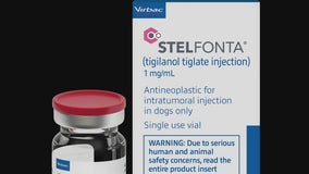 New FDA approved drug could help cure mast cell tumors in dogs