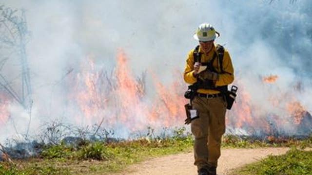 Houston Fire Department to conduct prescribed fire at Houston Arboretum on Thursday morning