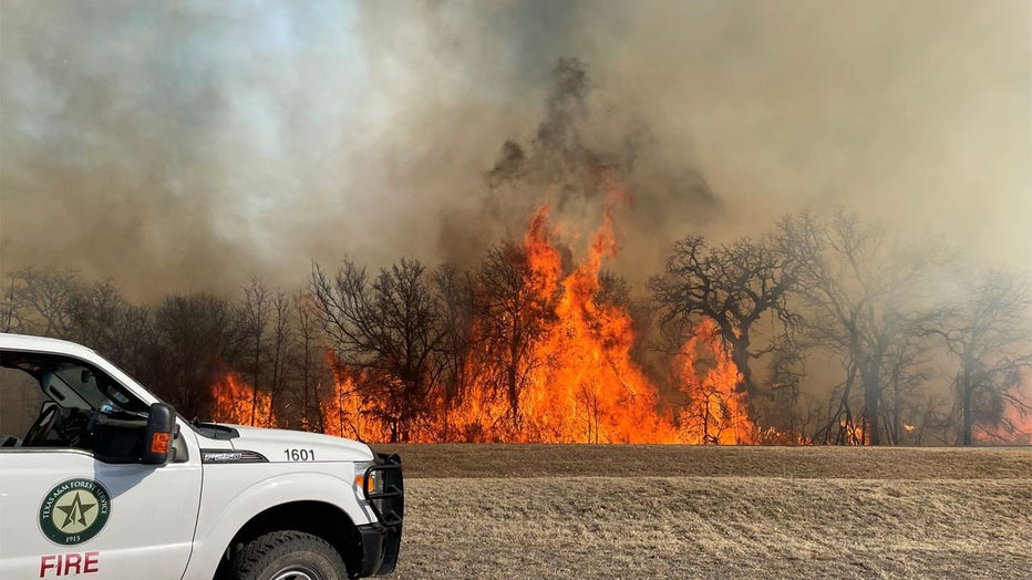 Wildfire potential increases Monday for large, difficult-to-control wildfires to occur in Southwest Texas, specifically for areas near Del Rio, San Angelo, San Antonio and Laredo. ver the past seven days, firefighters responded to 178 wildfires that burned 108,493 acres across the state. (Photo credit: Texas A&M Forest Service)