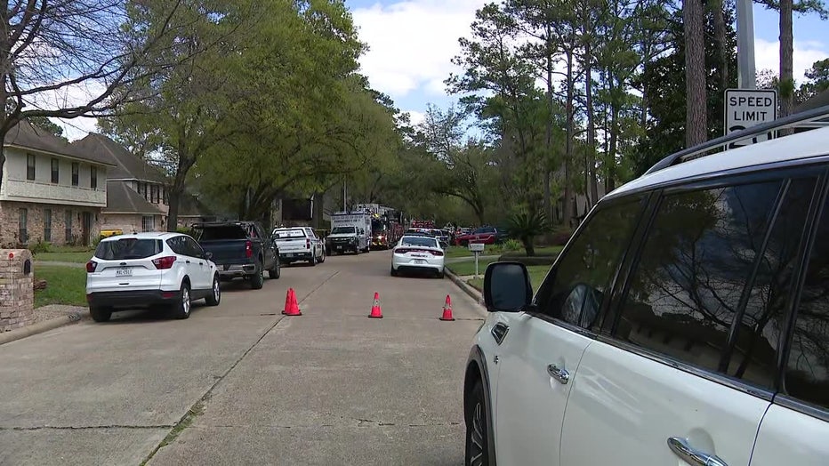 Tree trimmer dies power line