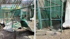 Ukraine zoo workers who stayed behind to care for animals found shot to death