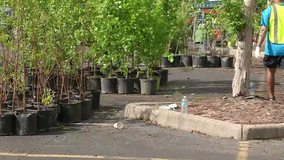 Astros Foundation gives away 2,500 trees to Houston-area residents for Earth Day