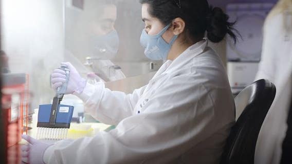 'Son of Omicron' making up more than 75 percent of COVID-19 cases at Houston Methodist hospitals