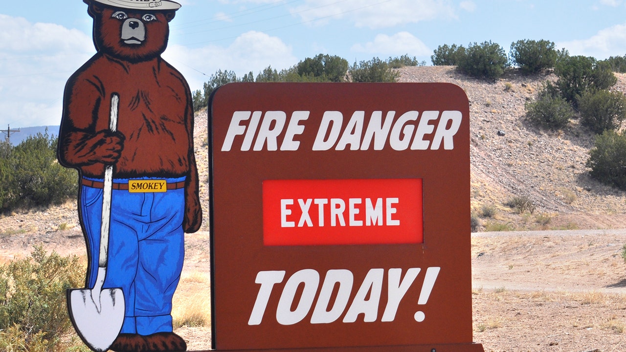 New Mexico governor asks Biden to declare disaster for wildfire - Vimarsana News