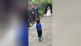 Watch: Precious toddler walks his mom down the aisle