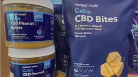 Coffee, bar, full legal CBD-THC dispensary in the Heights is one of a kind in America