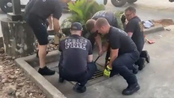 Spring firefighters rescue kitten stuck in storm drain