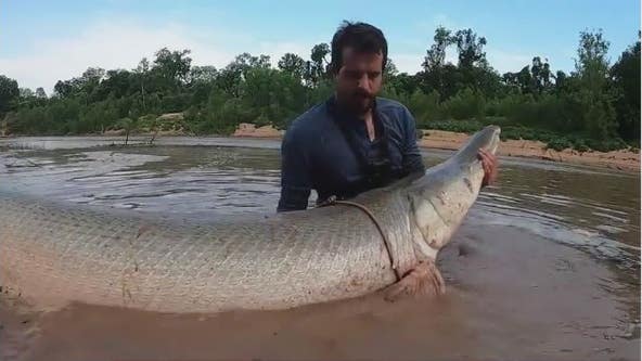 Fishing with Houston area man who caught 300lb alligator gar