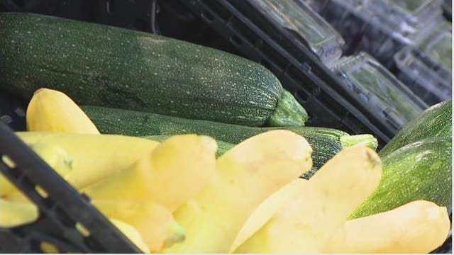 Saving green by growing your own produce