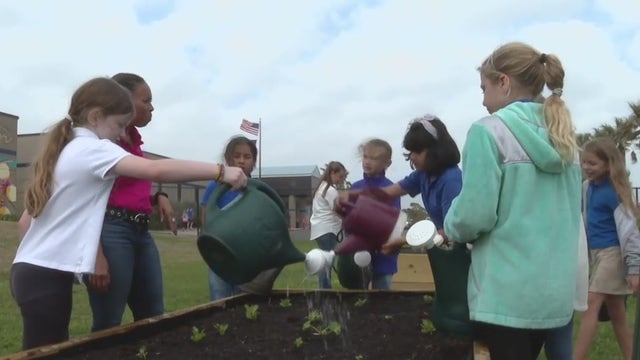 Galveston ISD elementary students participate in vegetable-taste testing