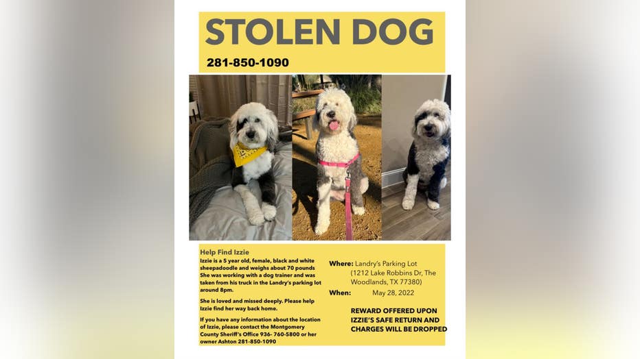 Izzie missing dog poster