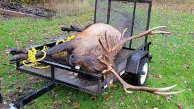 Elk, deer poachers nabbed after ‘suspicious’ photo appears online