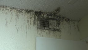 State inspectors visit NE Houston apartment where residents experience mold, rat droppings, and leaks