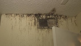 Northeast Houston residents dealing with mold, leaks, rat droppings in apartments begging for help