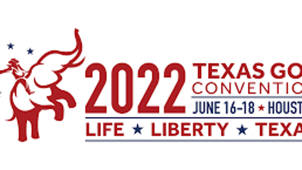 Radical and extreme the Texas GOP makes some strong platform choices - What's Your Point?