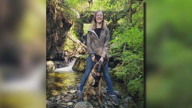 Dog that defended California owner from mountain lion dies