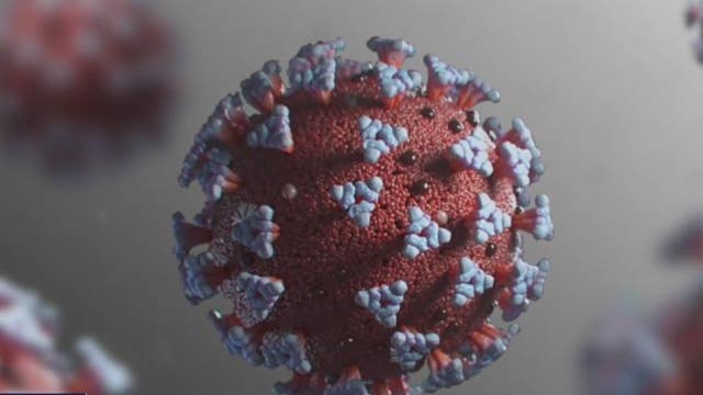 New COVID variant causing mini wave?