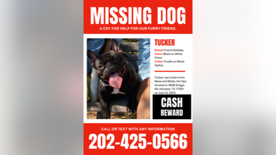 Missing poster for Tucker