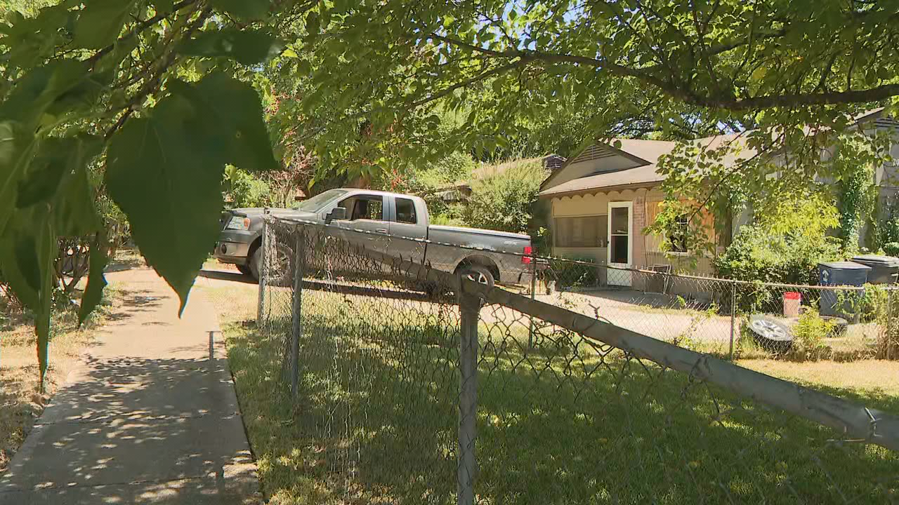 4-year-old girl dies after being bitten by dog in Dallas - Vimarsana News